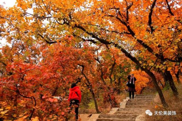 640?wx_fmt=png&tp=webp&wxfrom=5&wx_lazy=