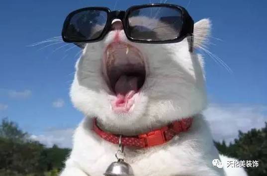 640?wx_fmt=png&tp=webp&wxfrom=5&wx_lazy=