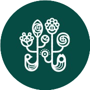 野兽派