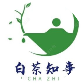 白茶知事