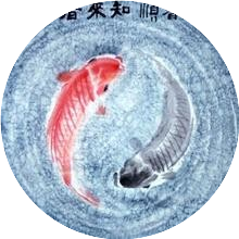天中杏林医