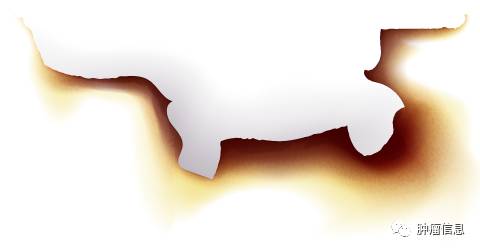 《日本胰腺协会胰腺癌临床实践指南（2016）》解读