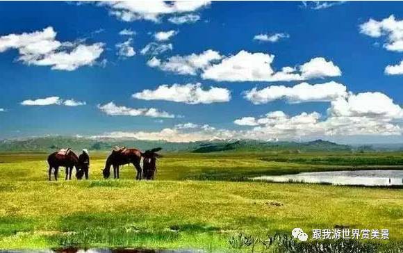 新疆几点天亮_新疆夏季什么时候天亮