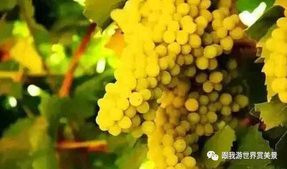 新疆夏季什么时候天亮_新疆几点天亮