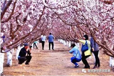 新疆几点天亮_新疆夏季什么时候天亮