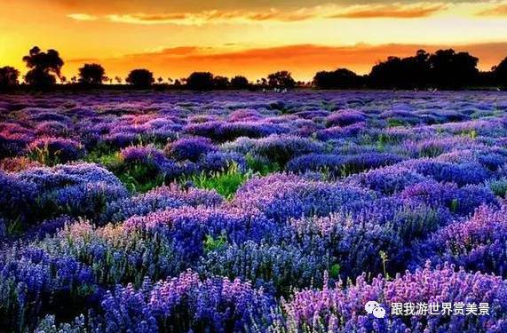 新疆几点天亮_新疆夏季什么时候天亮