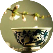 中医健康养生术