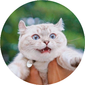 公主壁纸头像库