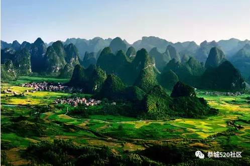 恭城莲花田厂路边一绿化树突陷，留下深坑！究竟是天灾还是人祸？582 / 作者:绎苒 / 帖子ID:207705