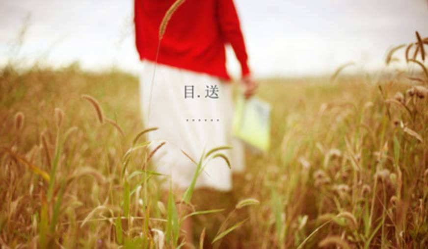 第1275季【湿地阅读】王婷婷：主题阅读阅读，还可以这样玩——由《孔子游春》引领的主题阅读教学