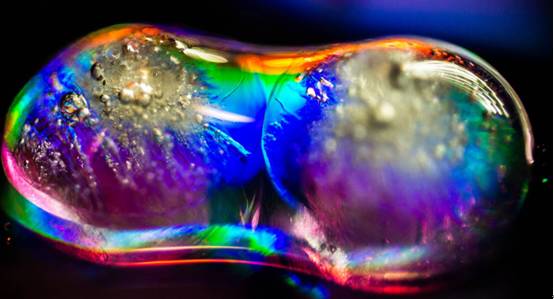 Python运用蒙特卡洛算法模拟植物生长