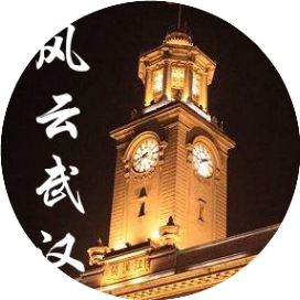 风云武汉