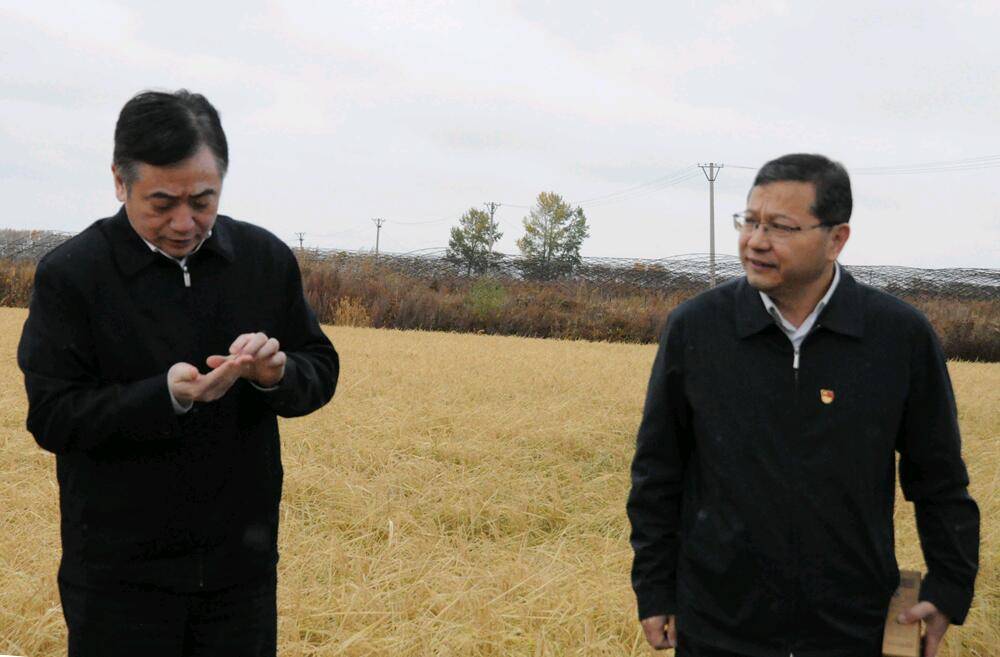 牡丹江市委书记刘忻深入宁安市马河乡 调研农村工作