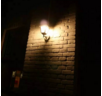 北京大院灵异事:崔健乐队成员夜遇恐怖女鬼,正反脸都是...