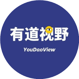 有道视野