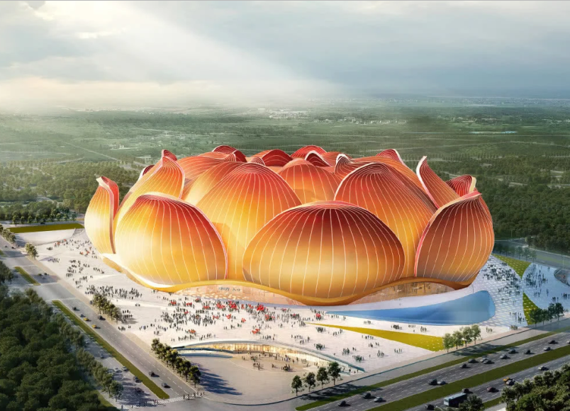 广州出了个番金莲