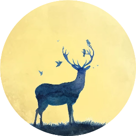 南鹿夜谈