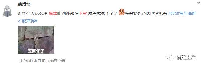 福建多地迎来鸡年首场降雪 一片白茫茫美呆了