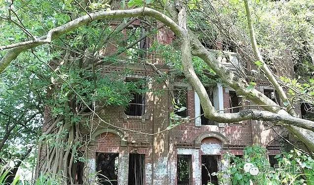 台灣10大鬼屋！這些地方可別誤入... 靈異 第10張