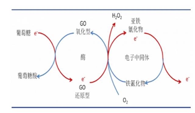 电子血糖仪怎么使用99期： 浅析血糖试纸条技术原理_https://www.jmylbn.com_新闻资讯_第1张