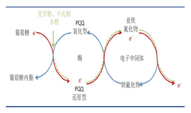 电子血糖仪怎么使用99期： 浅析血糖试纸条技术原理_https://www.jmylbn.com_新闻资讯_第2张