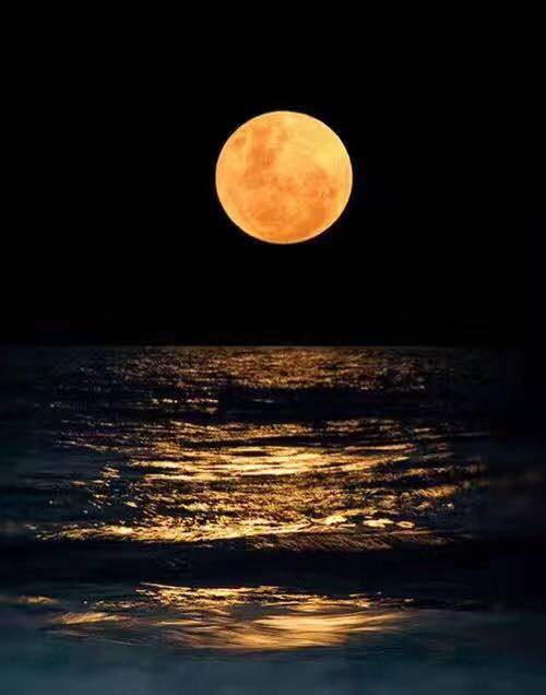 大有"海上生明月,天涯共此时"的古意(图片@abc china)