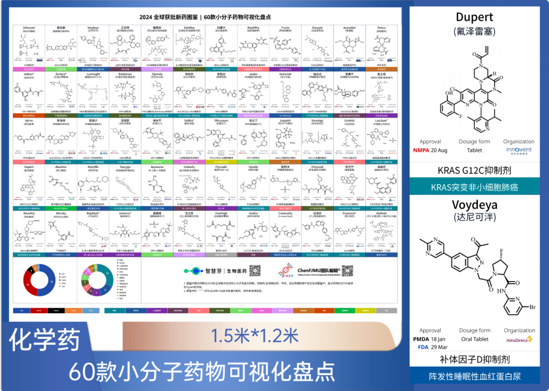 化学药挂图.png