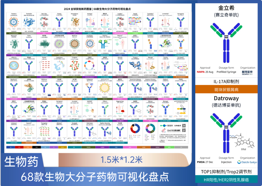 生物药挂图 (2).png