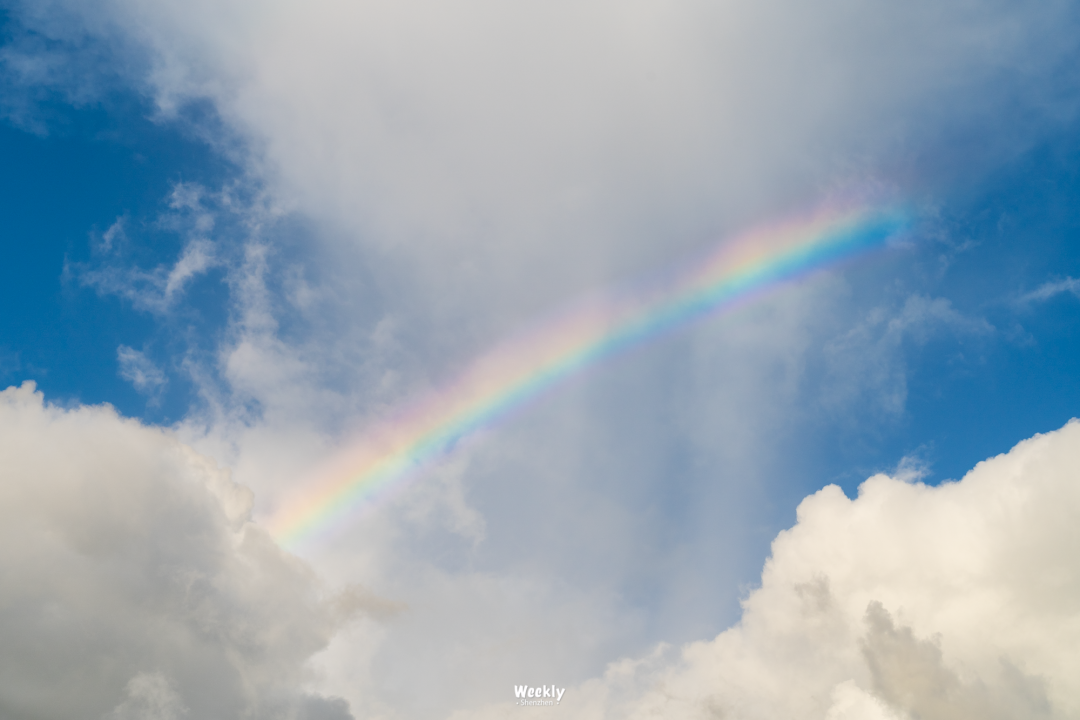 这座时常凭借天空上热搜的城市深圳的6月是幸运的rainbow深圳6月の