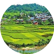 农业农村研究室