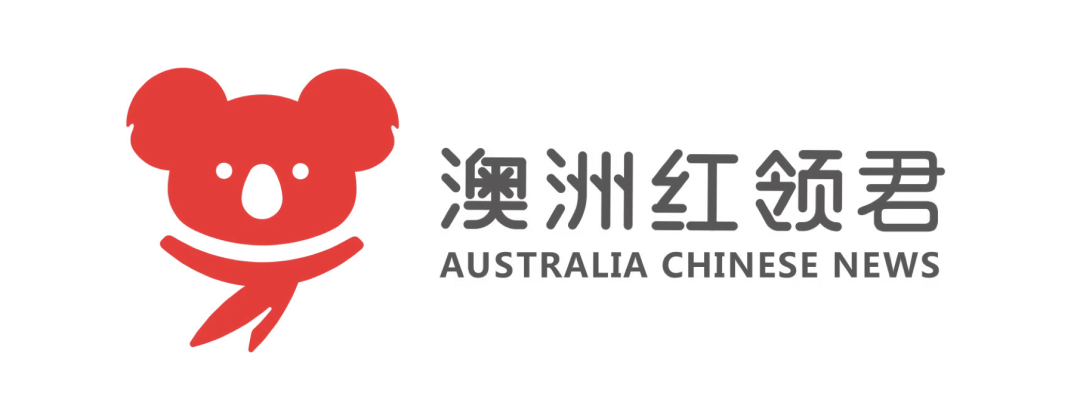 AZO王者荣耀 · 澳新公开赛，总决赛圆满落幕，恭喜新西兰BBT战队夺得2022年总冠军 文内超多精彩花絮放送（组图） - 57