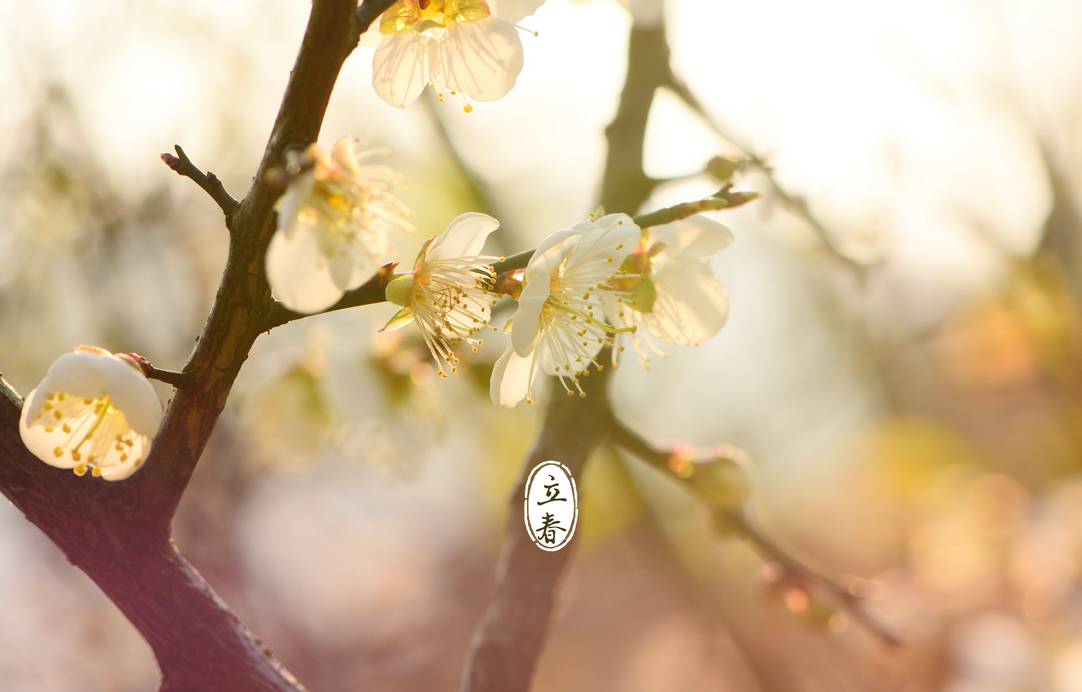 立春 一年之计在于春