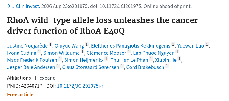 PubMed：RhoA wild-type allele loss unleashes the cancer driver function of RhoA E40Q.（PMID 42640717）