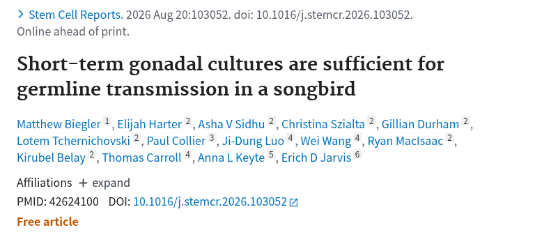 PubMed：Short-term gonadal cultures are sufficient for germline transmission in a songbird.（PMID 42624100）