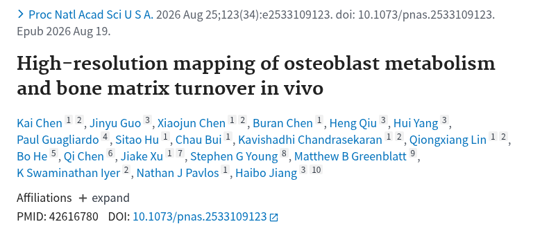 PubMed：High-resolution mapping of osteoblast metabolism and bone matrix turnover in vivo.（PMID 42616780）