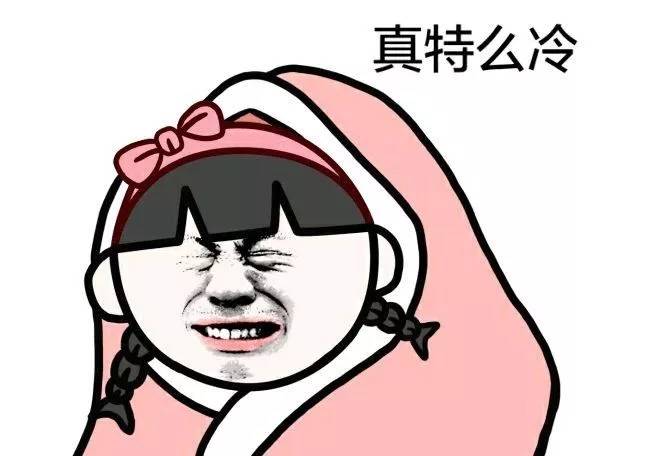 气温又低又下雨的 让小话看看风雨中,躲在墙角 瑟瑟发抖的是你吗?