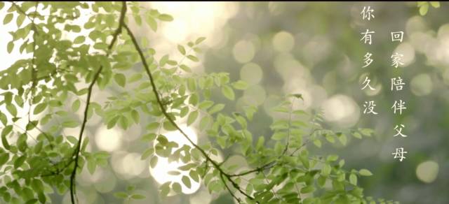 三明有百歲壽星108位 15.7%戶籍人口步入老年