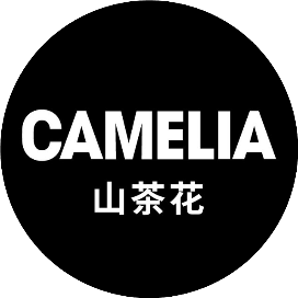 Camelia山茶花