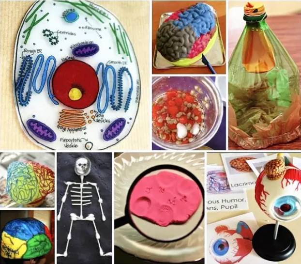 国际学校考试和兴趣之间的权衡