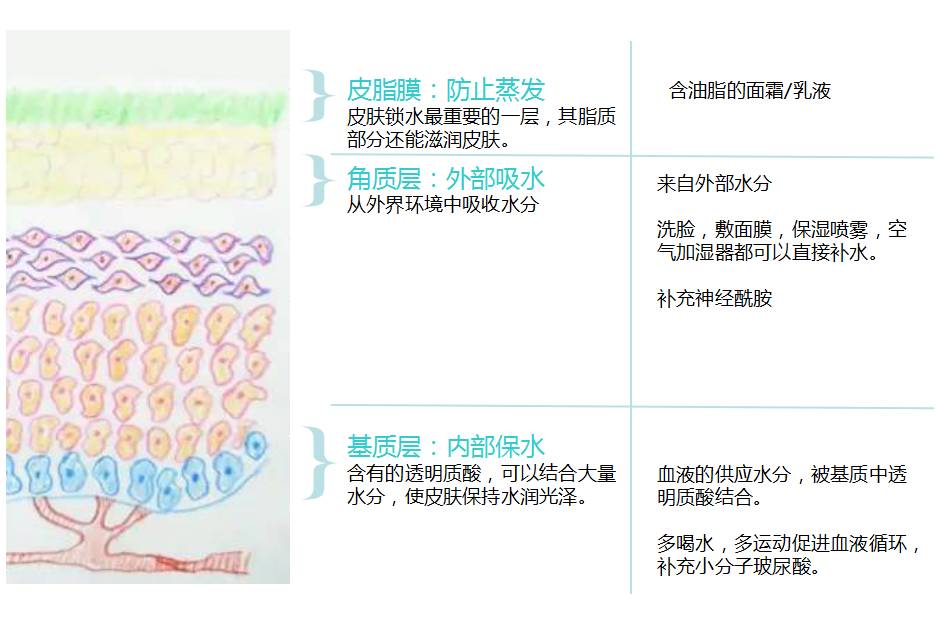 护肤心得简单一段话_护肤心得十年经验怎么写_十年护肤经验护肤心得