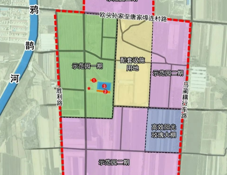 党支部领办合作社在行动龙口市兰高镇党旗红映满园香老果园走出新路子