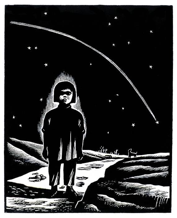 ¶֮һ 15.812.8cm 1943 ľ ѧԺݲ