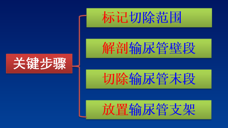 孙圣坤保卫膀胱β刀切除输尿管口周围肿瘤