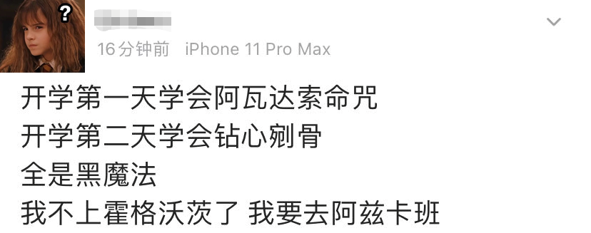 父母的阿瓦达索命咒,第二天就能熟练掌握把纳威父母逼疯的钻心剜骨咒