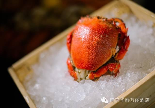 crab主要产于:澳大利亚,东南亚,日本,东非,南非;别称老虎蟹,加菲蟹