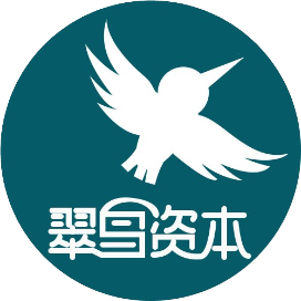 翠鸟资本