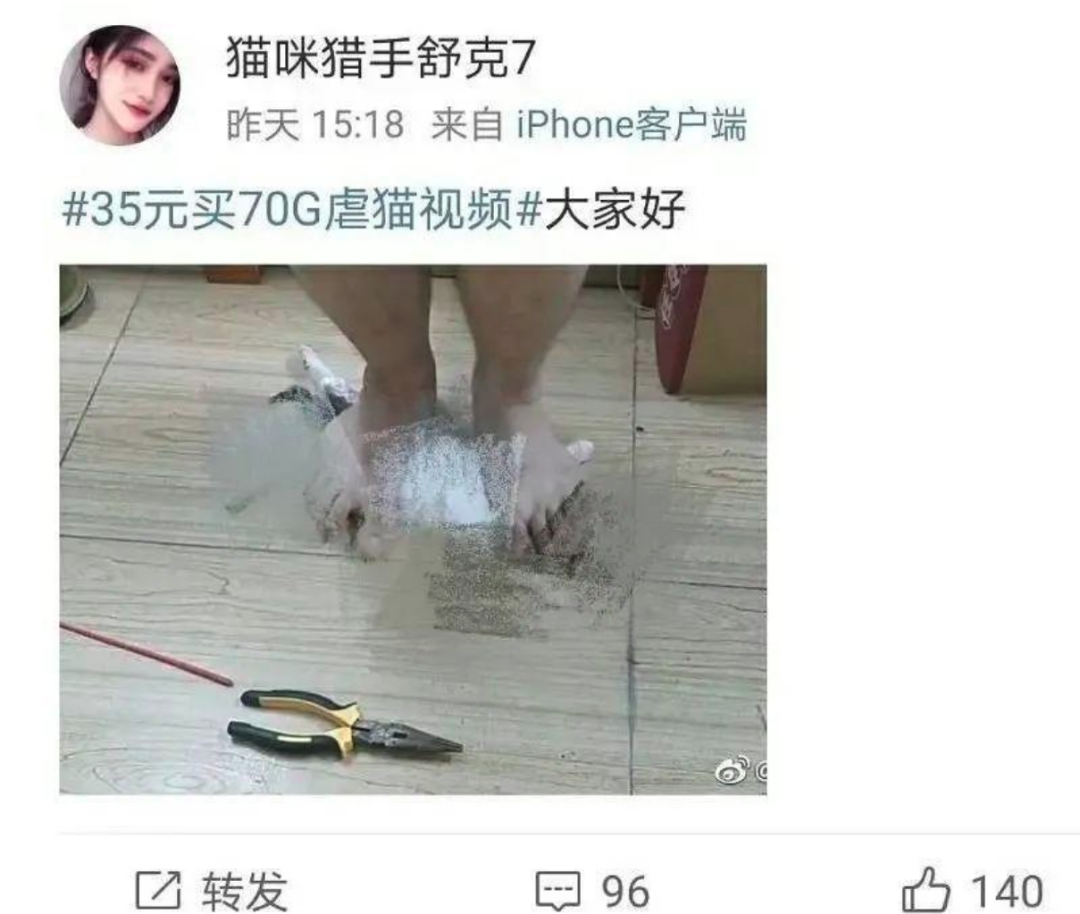 谁在阻止《反虐待动物法》立法？