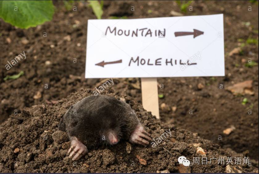 地道英语表达法(11):to make a mountain out of a molehill 小题大做