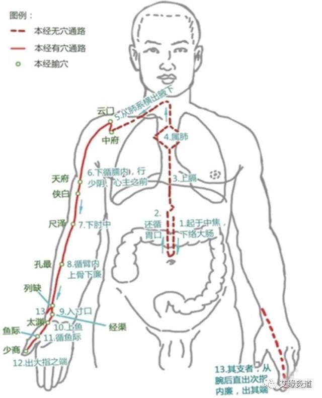 手太阴肺经→手阳明大肠经→足阳明胃经→足太阴脾经→手少阴心经→手