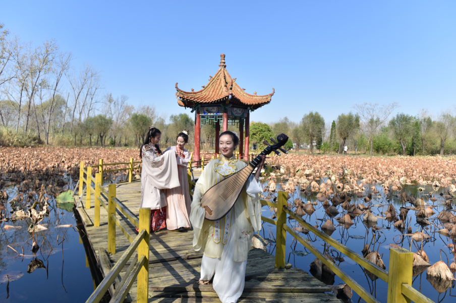 冬游枣庄家门口的旅游胜地滕州微山湖红荷湿地